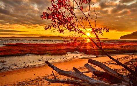 fall beach background